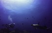 Danubio Azul Galapagos Diving