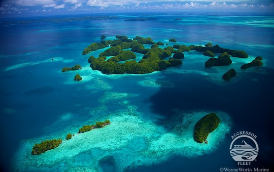 Best of Palau
