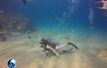 Diving Cabo San Lucas Marine Park