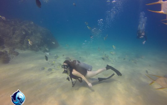 Diving Cabo San Lucas Marine Park
