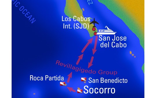 8-night Socorro islands liveaboard
