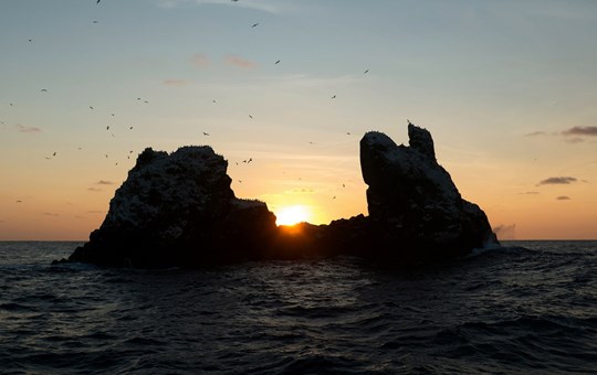 Socorro Islands, 11 days