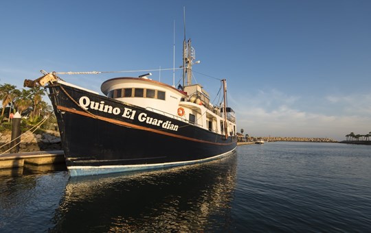 Quino El Guardian-18